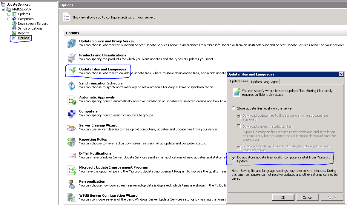 WSUS Folder is Huge on Small Business Server 2008